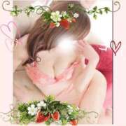 ヒメ日記 2025/07/30 11:04 投稿 仲田 ローズマリー大塚