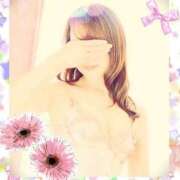 ヒメ日記 2025/08/16 10:34 投稿 仲田 ローズマリー大塚