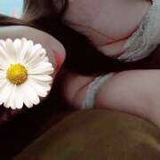 きらら(昭和47年生まれ) お礼 熟年カップル名古屋～生電話からの営み～