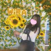 ヒメ日記 2025/08/13 23:30 投稿 しおり 11チャンネル