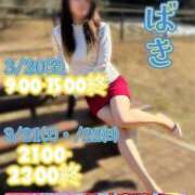 ヒメ日記 2026/03/16 10:20 投稿 椿 錦糸町おかあさん