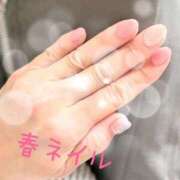 ヒメ日記 2026/04/07 09:20 投稿 椿 錦糸町おかあさん