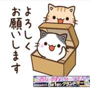 ヒメ日記 2026/05/07 20:21 投稿 椿 錦糸町おかあさん