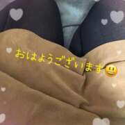 ヒメ日記 2026/05/16 08:43 投稿 椿 錦糸町おかあさん