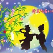 ヒメ日記 2026/07/07 09:20 投稿 椿 錦糸町おかあさん