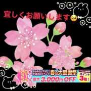 ヒメ日記 2026/03/06 15:14 投稿 椿 西船橋おかあさん