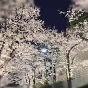 ヒメ日記 2025/04/12 22:48 投稿 ふみの 川崎・東横人妻城