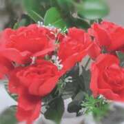 ヒメ日記 2025/04/13 09:18 投稿 ふみの 川崎・東横人妻城