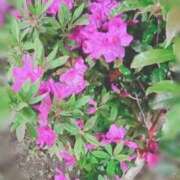 ヒメ日記 2025/04/18 08:12 投稿 ふみの 川崎・東横人妻城