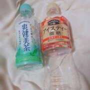 ヒメ日記 2025/04/20 22:33 投稿 ふみの 川崎・東横人妻城