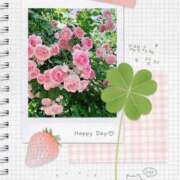 ヒメ日記 2025/04/22 12:03 投稿 ふみの 川崎・東横人妻城