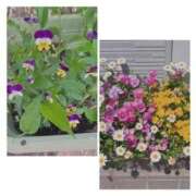 ヒメ日記 2025/05/04 07:12 投稿 ふみの 川崎・東横人妻城