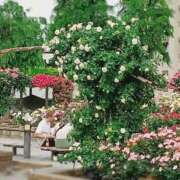 ヒメ日記 2025/05/19 07:12 投稿 ふみの 川崎・東横人妻城