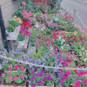 ヒメ日記 2025/06/14 12:03 投稿 ふみの 川崎・東横人妻城