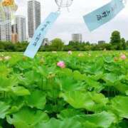 ヒメ日記 2025/07/13 19:30 投稿 ふみの 川崎・東横人妻城