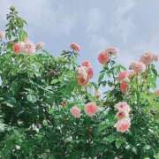 ヒメ日記 2025/08/08 19:40 投稿 ふみの 川崎・東横人妻城