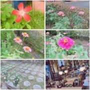 ヒメ日記 2025/09/15 18:17 投稿 ふみの 川崎・東横人妻城