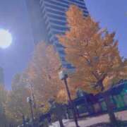 ヒメ日記 2025/11/20 19:01 投稿 ふみの 川崎・東横人妻城