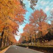 ヒメ日記 2025/11/25 18:10 投稿 ふみの 川崎・東横人妻城