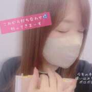 ヒメ日記 2025/12/02 12:20 投稿 ふみの 川崎・東横人妻城