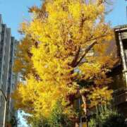 ヒメ日記 2025/12/15 12:22 投稿 ふみの 川崎・東横人妻城