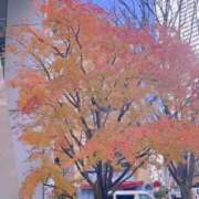 ヒメ日記 2026/01/06 12:17 投稿 ふみの 川崎・東横人妻城