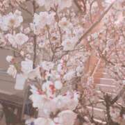 ヒメ日記 2026/02/19 11:36 投稿 ふみの 川崎・東横人妻城