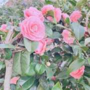 ヒメ日記 2026/02/26 17:14 投稿 ふみの 川崎・東横人妻城