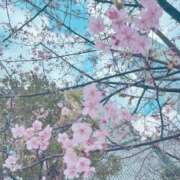 ヒメ日記 2026/03/06 07:04 投稿 ふみの 川崎・東横人妻城