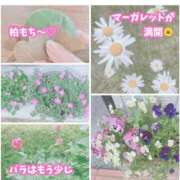 ヒメ日記 2026/05/04 12:04 投稿 ふみの 川崎・東横人妻城