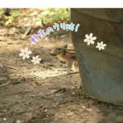 ヒメ日記 2026/05/17 07:12 投稿 ふみの 川崎・東横人妻城