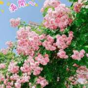 ヒメ日記 2026/05/19 12:27 投稿 ふみの 川崎・東横人妻城