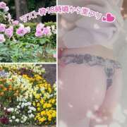ヒメ日記 2026/05/24 07:03 投稿 ふみの 川崎・東横人妻城