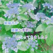 ヒメ日記 2026/06/01 22:23 投稿 ふみの 川崎・東横人妻城