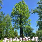 ヒメ日記 2026/10/07 07:00 投稿 ちえり 奥鉄オクテツ東京店（デリヘル市場）