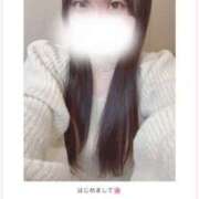 ヒメ日記 2025/07/27 05:37 投稿 とうか ビギナーズ神戸