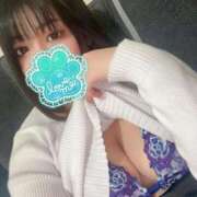 ヒメ日記 2025/04/13 15:53 投稿 あさひ 奥様なでしこ