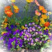 ヒメ日記 2025/05/11 16:04 投稿 さくらこ 熟女の風俗最終章 仙台店