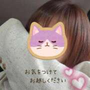 ヒメ日記 2025/05/31 10:05 投稿 さくらこ 熟女の風俗最終章 仙台店