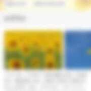 ヒメ日記 2025/06/06 12:04 投稿 さくらこ 熟女の風俗最終章 仙台店