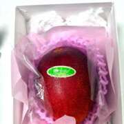 ヒメ日記 2025/06/07 17:55 投稿 あむ キャンパスサミット　千葉店