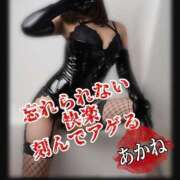 ヒメ日記 2025/08/11 08:00 投稿 あかね 横浜秘密倶楽部