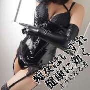 ヒメ日記 2025/10/08 15:00 投稿 あかね 横浜秘密倶楽部