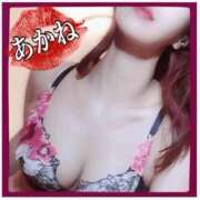 ヒメ日記 2025/10/12 07:00 投稿 あかね 横浜秘密倶楽部