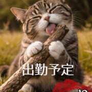 あかね 出勤予定 横浜秘密倶楽部