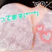 ヒメ日記 2025/04/14 22:59 投稿 しき 香川高松ちゃんこ