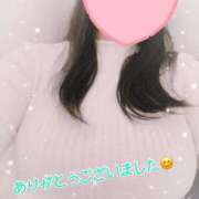 ヒメ日記 2025/04/16 12:42 投稿 しき 香川高松ちゃんこ