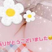 ヒメ日記 2025/04/16 13:39 投稿 しき 香川高松ちゃんこ