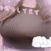 ヒメ日記 2025/04/16 16:19 投稿 しき 香川高松ちゃんこ