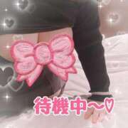 ヒメ日記 2025/04/24 19:30 投稿 しき 香川高松ちゃんこ